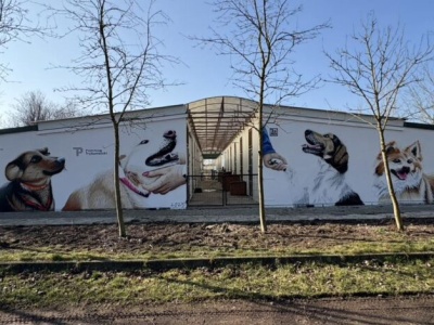 Światowy Dzień Zwierząt w Piotrkowie Trybunalskim – Schronisko zaprasza na konkurs plastyczny i piknik pełen atrakcji!