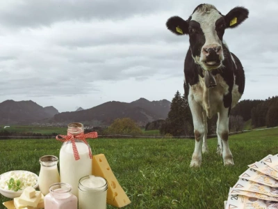 Jaka cena mleka na koniec 2025? Najnowsza PROGNOZA