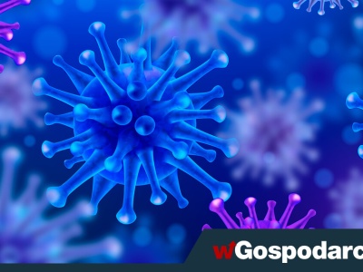 Groźna choroba atakuje na Warmii i Mazurach