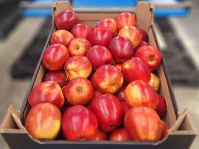 Panika służy tylko spekulantom i łowcom okazji