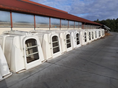 Hodowcy wygrali! Uproszczenia w hodowli bydła stają się faktem