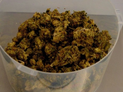 Konin. 25-latek przekroczył prędkość na hulajnodze i trafił do aresztu