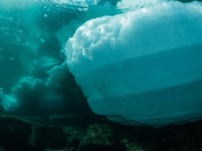 Sprawdzili dane z satelity i oniemieli. Chodzi o Antarktydę