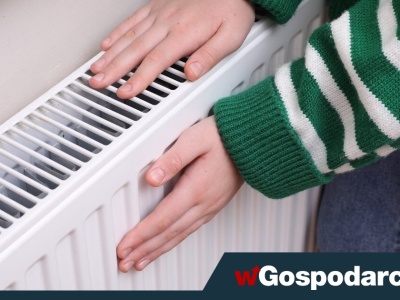 Ubóstwo energetyczne? O 560 zł więcej za tonę węgla