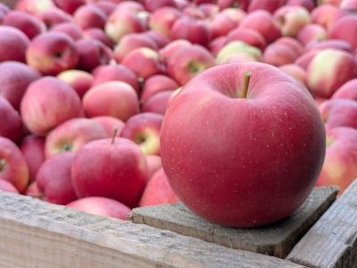 W sierpniu byliśmy drożsi od Włochów