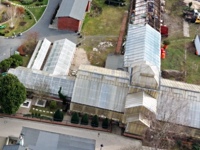 Rewitalizacja palmiarni. Dlaczego trzeba przesunąć 4 mln zł na przyszły rok