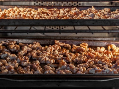 Jak prawidłowo suszyć orzechy włoskie w domu? Prosty poradnik