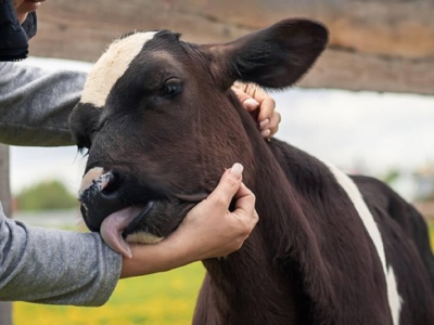 Będzie skrócony okres międzywycieleniowy