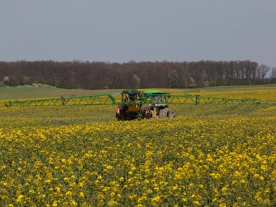 Nowa umowa UE–Indonezja. Czy olej palmowy wyprze rzepak?
