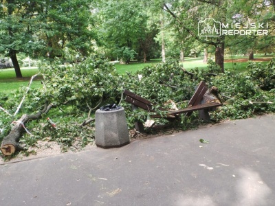 Wyrok w głośnej sprawie z 2018 roku. Ma mamę z 6 miesięcznym dzieckiem runął konar w parku. Dziewczynka nie żyje