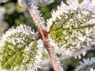 Będzie strasznie zimno. W tym regionie Polski nawet minus 10 stopni
