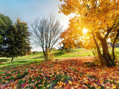 Pogoda na środę. Będzie całkiem znośnie!