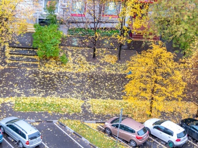 Za nami zimna noc, ale czy jesienna aura na dobre zagościła w Polsce? Synoptycy mówią wprost