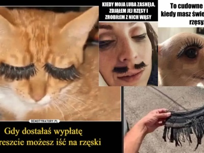 Dzień Stylistek Rzęs. Dziewczyny - radzimy trochę dystansu! ZOBACZ MEMY