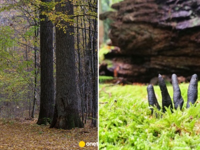 Palce umarlaka wyglądają jak z koszmaru! W lesie łatwo się na nie natknąć