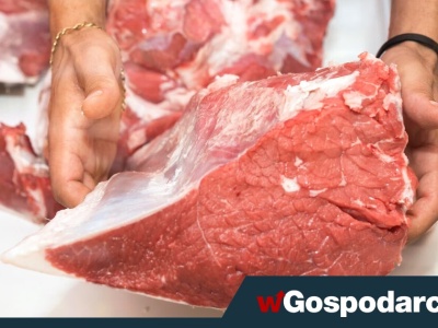 Wołowina drożeje, eksport rośnie. Co się dzieje?