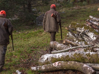 Obowiązkowe badania dla wszystkich posiadaczy broni?