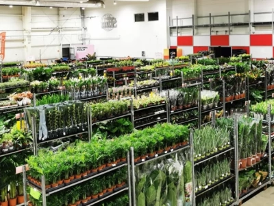 Jesienna edycja Festiwalu Roślin we Wrocławiu!