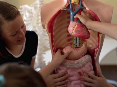 Wrocław: Z edukacji zdrowotnej rezygnują całe klasy. 