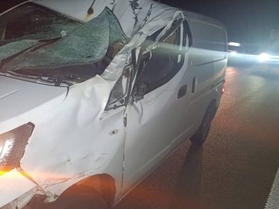 Seria zdarzeń z dzikimi zwierzętami na drogach. Apel policji