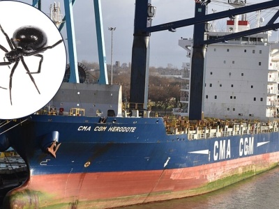 Wielki statek zatrzymany w porcie. Powód był zaskakujący