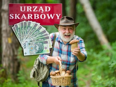 Skarbówka bierze się za grzybiarzy!
