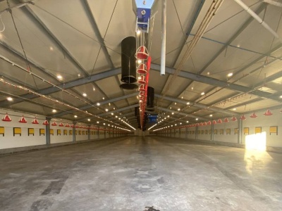 Weterynaria opóźnia decyzje o ponownym wprowadzeniu zwierząt do kurników i chlewni?