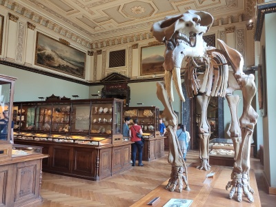 Muzeum Historii Naturalnej w Wiedniu – fascynująca podróż przez miliony lat ewolucji