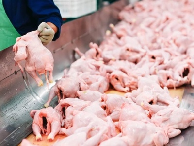 Polska już nie jest krajem wolnym od ptasiej grypy. Co zrobią Chińczycy?