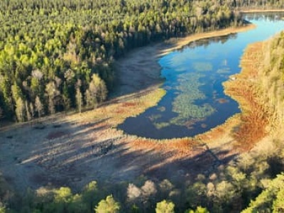Alternatywa dla parków narodowych? Boom na rezerwaty po kilkunastu latach zastoju