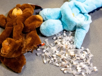 Na lotnisku w Pyrzowicach służby udaremniły przemyt mrówek. Owady były ukryte w zabawkach