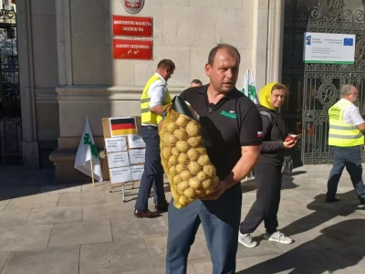 Niemieckie ziemniaki zalewają rynek: 
