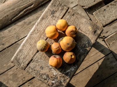 Jesienny przysmak wraca na targowiska. Lepszy niż cytryny