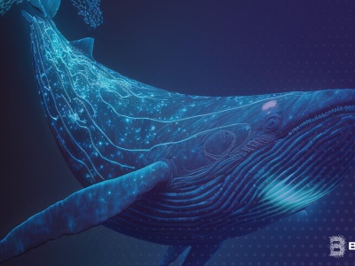 Które kryptowaluty wyszukują dziś wieloryby? Oto ich pełna lista