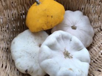 Otrzymałem od sąsiadki piękne patisony. Zamieniłem je w obiad, który zniknął w mig