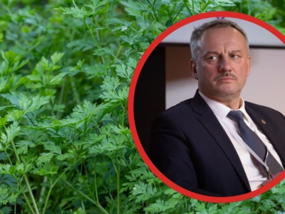 Wadliwe nasiona zrujnowały rolników. Straty sięgają nawet 50 tysięcy zł na hektar