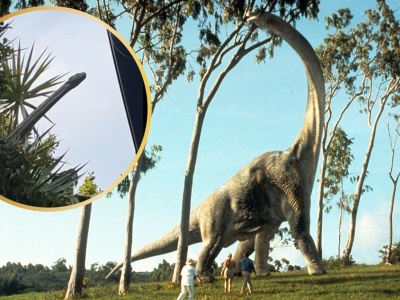 Wyjrzeli przez okno. Myśleli, że to dinozaur, ale prawda była inna