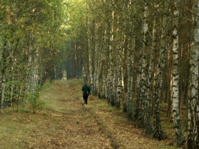 Zaginiony grzybiarz odnaleziony w lesie – pomogła znajomość terenu policjanta-myśliwego