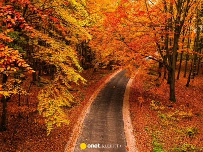 Ten spektakl natury powtarza się co roku. Wtedy w Bieszczadach jesień wygląda najpiękniej