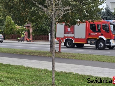 Służby zaalarmowane o niebezpiecznym ładunku