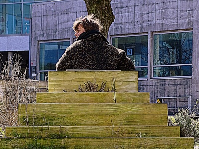 Zdjęcie Dnia. „Dama siedzi sama”