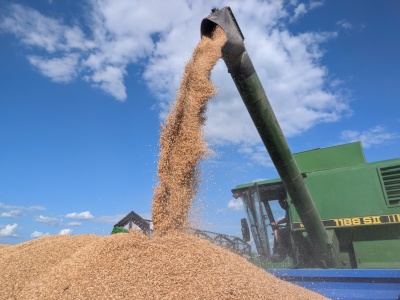 Import z Ukrainy niszczy rolnictwo, ale KE “bierze to pod uwagę”