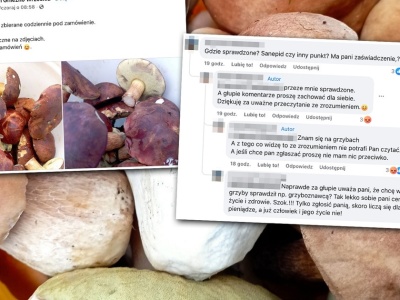 Zapytał o oferowane w internecie grzyby. Odpowiedź sprzedawcy go zszokowała