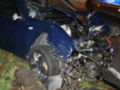 Pijany kierowca rozbił auto o drzewo w Zielonej Górze. Wytropił go pies (ZDJĘCIA)