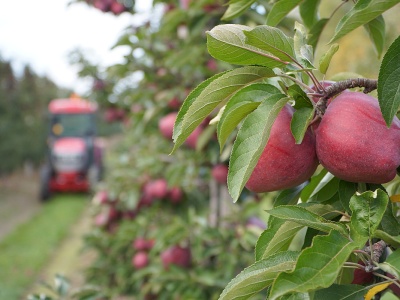 Na eksporcie można jeszcze zarobić. Handel z marketem to wegetacja
