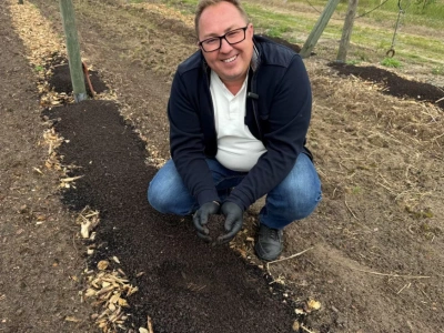 Zakładanie plantacji borówki – jak przygotować stanowisko?