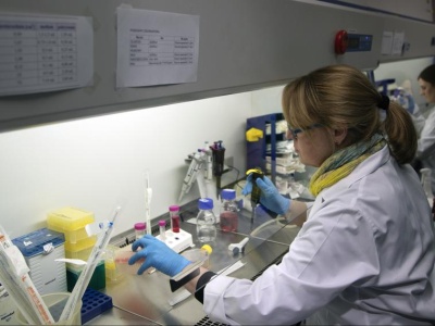 Nawet 30 tys. zł wynagrodzenia. Pracownicy pilnie poszukiwani