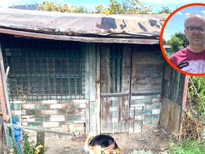 Kupili działkę ROD. 