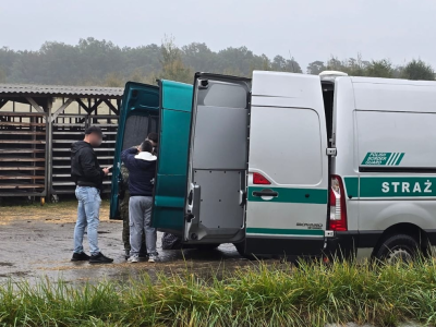 Zatrzymano 11 Kolumbijczyków