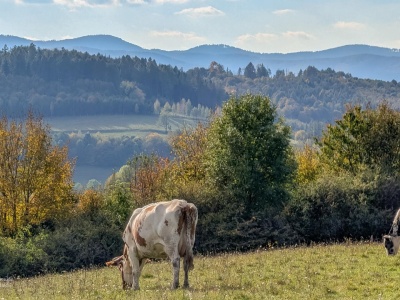 Tuł. Łatwa góra w Beskidzie Śląskim z widokiem na Czantorię
